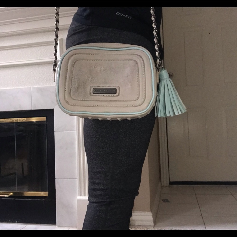 Steven Madden Purse